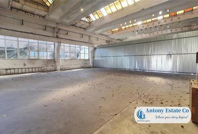 Spațiu comercial, de 216 mp, în Rogerius - 9