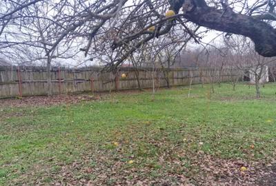 Casă cu 3 camere cu Canalizare în Broșteni (Costești) - 10