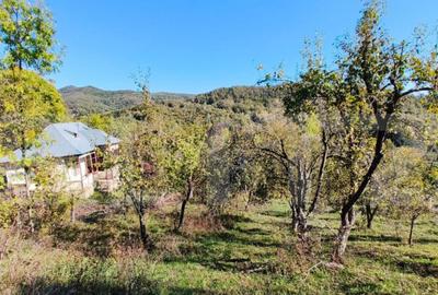 Teren cu priveli?te superba , livada ?i poten?ial casu? - 5