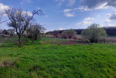 Teren Construcții intravilan de 3400 mp, în Buturugeni - 11