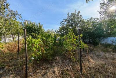 Teren de 1030 mp, în Chiroiu-Pământeni - 8
