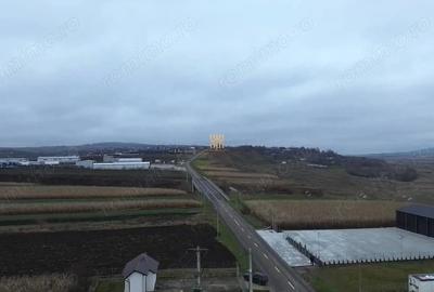 Teren de 14066 mp, în Mihoveni - 13