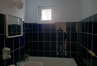 Apartament cu 3 camere semidecomandat în Nicolae Grigorescu - 3