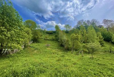 Teren de 839 mp, în Valea Doftanei - 3