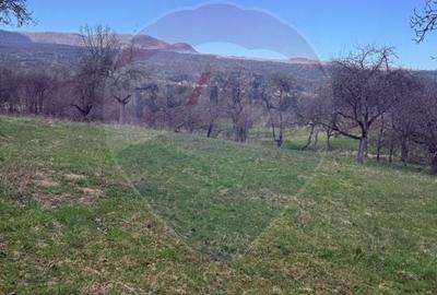 Teren Construcții de 6377 mp, în Hărnicești - 1