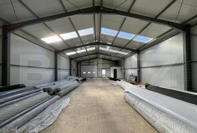 Hala 194 mp utili, platforma betonata 770 mp ?i teren to - 8