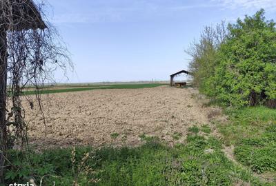 Casă cu 4 camere în Petid - 12