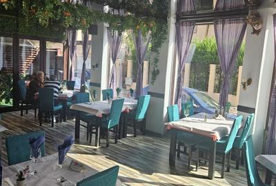 Decebal- Dristorului - 3