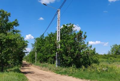 Teren agricol extravilan de 5755 mp, în Miersig - 5