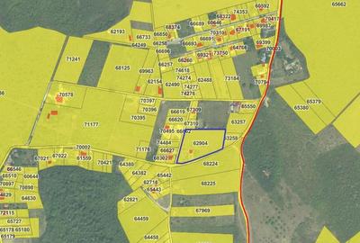 Teren Construcții intravilan de 6780 mp, în Ciurea - 4