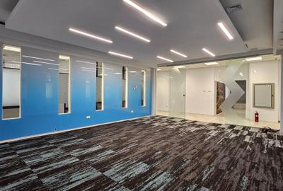 Spatii birou de la 200 mp - zona Universitate - Modern BC - 11