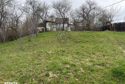 Teren de 1518 mp, în Șotrile - 5