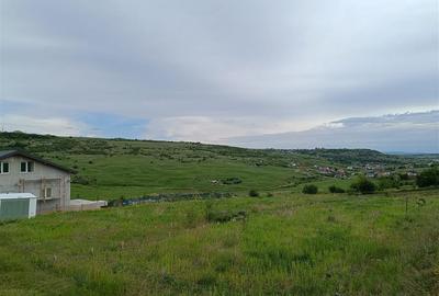 Teren intravilan de 1212 mp, în Dorobanț - 1