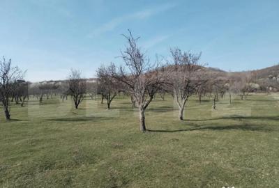 Teren de 90000 mp, în Central - 1