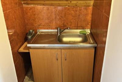 Garsoniera la casa terezian str mesteacanului et 1 - 13