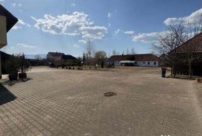 Teren în Ocna Șugatag - 7