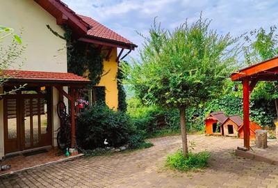 Duplex cu 5 camere cu Teren 350 Mp în Baciu - 3