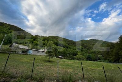 Casa 100 mp utili 4 camere 1,6 ha teren aproape de Trans Apuseana - 3