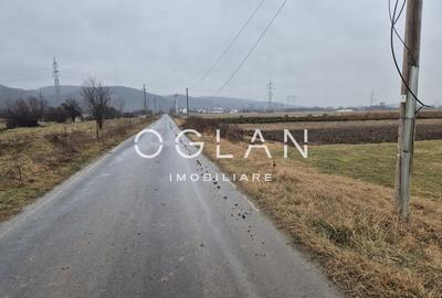 Teren extravilan 11.300 mp, front 39 m, Selimbar - 7