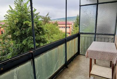 Apartament cu 2 camere semidecomandat în Beba Veche - 1