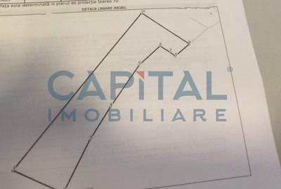 Teren Construcții extravilan de 2400 mp, în Săvădisla - 2