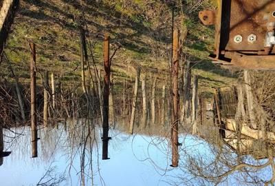 Casă cu 3 camere în Licurici - 1