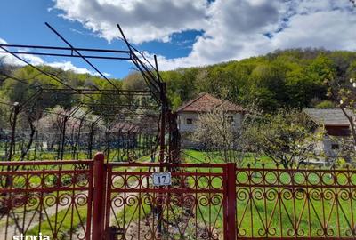Casă cu 6 camere cu Teren 2559 Mp în Peștișani - 14
