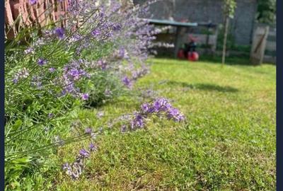 Casă spațioasă cu curte, 4 camere + garaj dublu Săliște, lângă Sibiu - 2