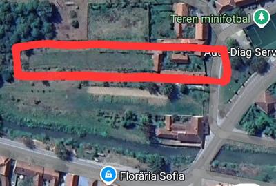 Casă în Uileacu de Beiuș - 2