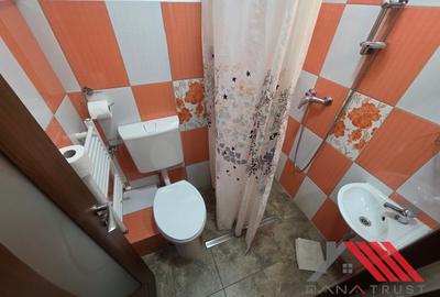 Calea Torontalului  - Pensiune / Proprietate multifuncțională de vânzare - 7