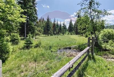 Teren de 9685 mp, în Neagra - 11