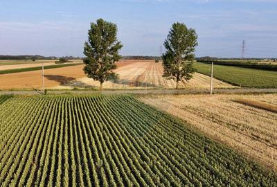 Teren Vanatori / Strada DJ204E Spre Mircesti - 13