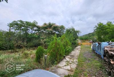 Casa cu D+P+E, 3500 mp teren, zona centrala, Paulis - 3