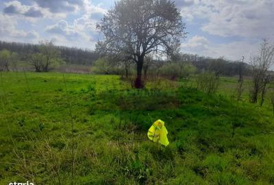 Spațiu comercial, în Buturugeni - 17