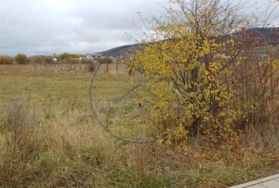 Teren de 5000 mp, în Unirea - 1