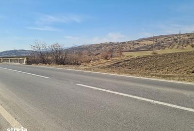 Teren de 4000 mp, în Măgirești - 4