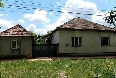 Casă cu 4 camere cu Teren 1490 Mp în Gătaia - 2