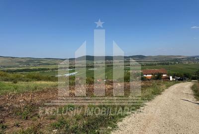 Teren Construcții intravilan de 1400 mp, în Micești - 4