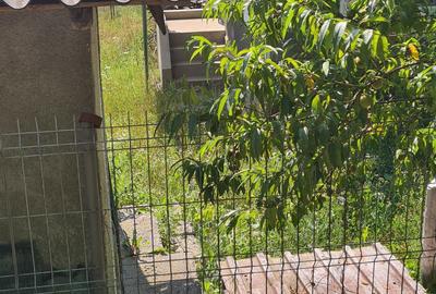 Casă cu 3 camere în Bârsești (Mihăești) - 7