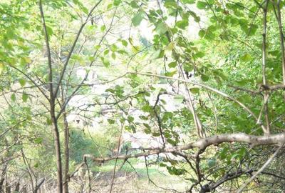 Brasov-Schei -Teren intravilan de vanzare - 8