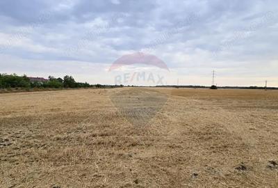 Teren de 2670 mp, în Buftea