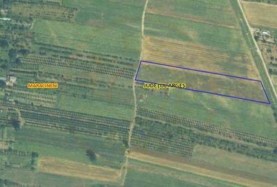 Teren Construcții intravilan de 7545 mp, în Mărăcineni - 2