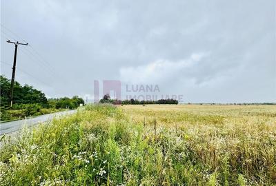 Teren intravilan 5.000 mp | Valea Avrigului | front dublu - 1