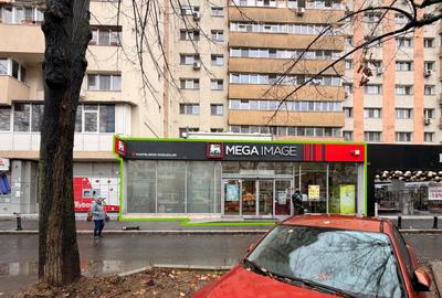 Spatiu Comercial de Inchiriat – 350 mp, Sos. Pantelimon, Bucuresti - 1