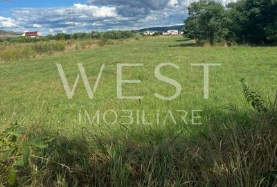 Teren constructii pretabil HALE sau Locuinte!suprafata totala 50.000mp