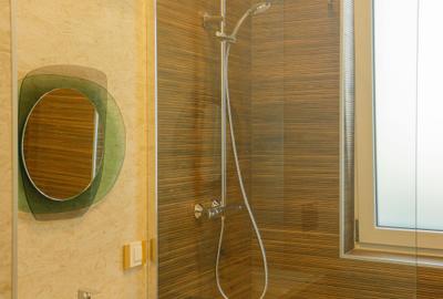 Penthouse spectaculos 291 mp cu terasa superba 450 mp in zona Mihai Bravu - 6