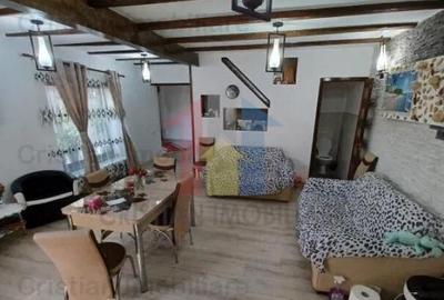 Vila P M 240mp utili si 400mp teren Radu Negru - 4