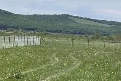 Teren de 14000 mp, în Chintelnic
