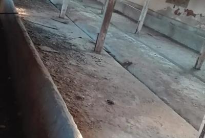 Spațiu comercial, de 2,550 mp, în Siliștea - 8