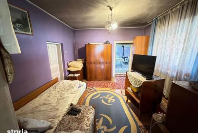 Casă cu 4 camere cu Teren 1527 Mp în Brateș - 6